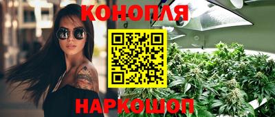 амф Кандалакша