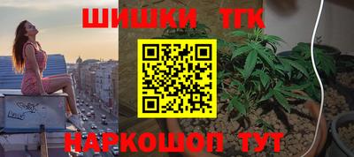 амф Кандалакша