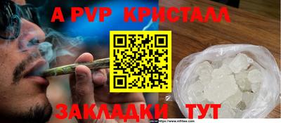 амф Кандалакша
