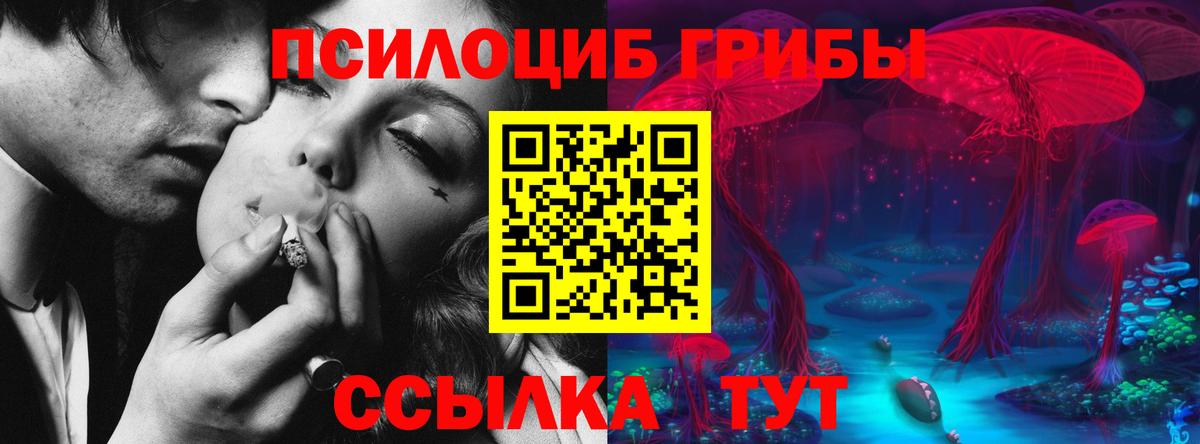 Псилоцибиновые грибы GOLDEN TEACHER Кашира