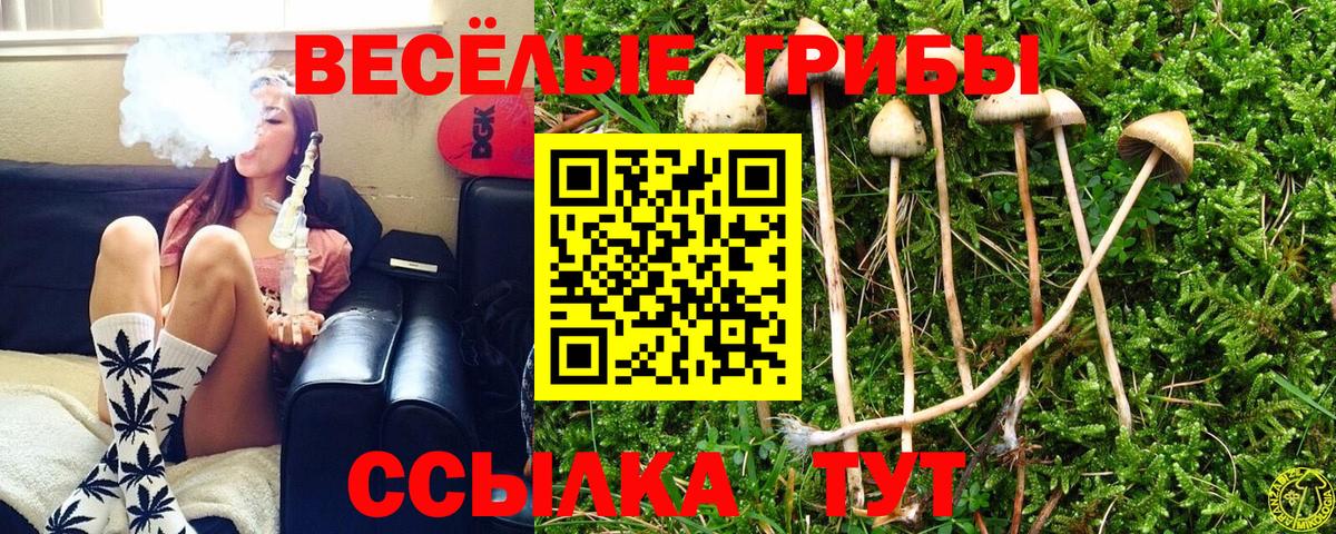 Галлюциногенные грибы Psilocybe  Вход с VPN  Псилоцибиновые грибы Psilocybe  Кашира 